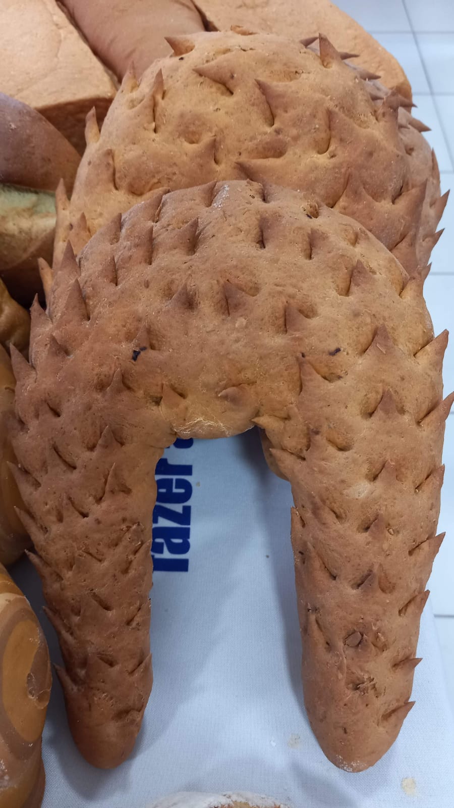 WhatsApp Image 2025-11-13 at 09.30.31