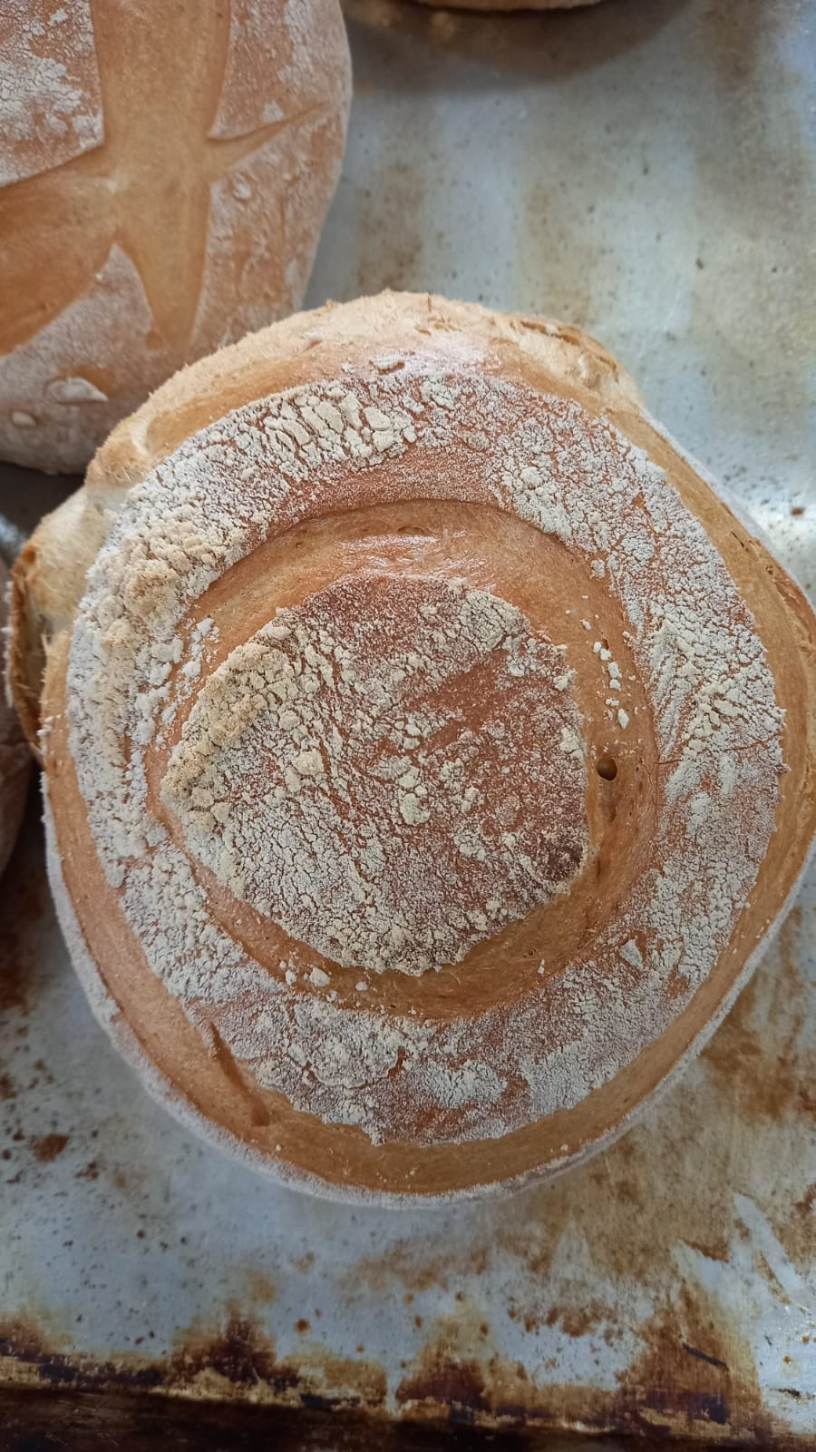 WhatsApp Image 2025-11-13 at 09.30.32 (1)