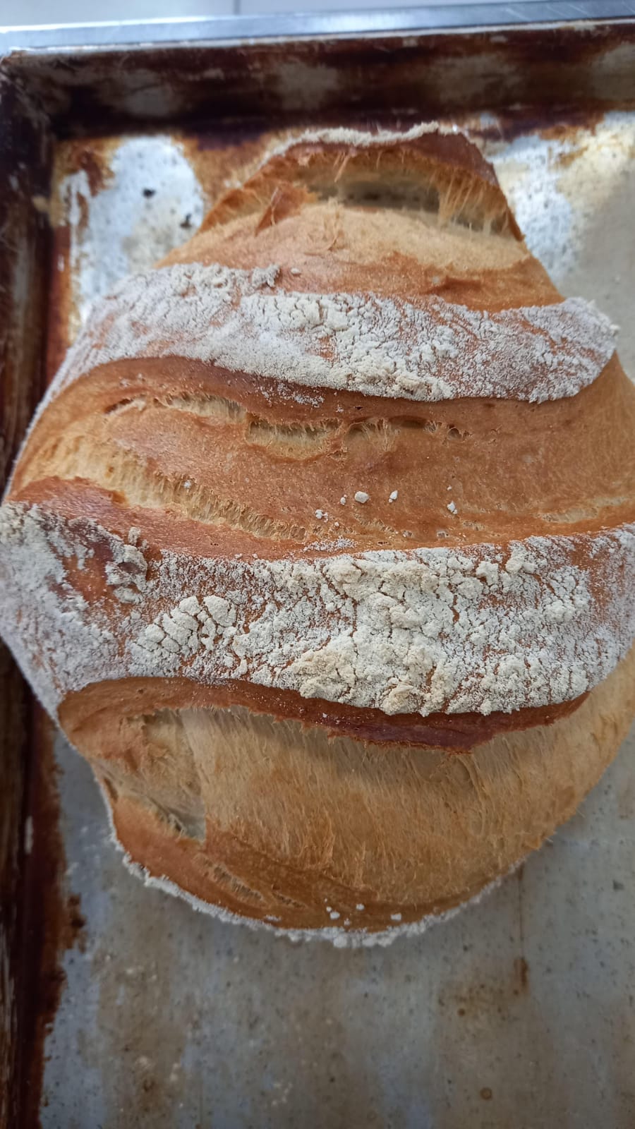 WhatsApp Image 2025-11-13 at 09.30.32