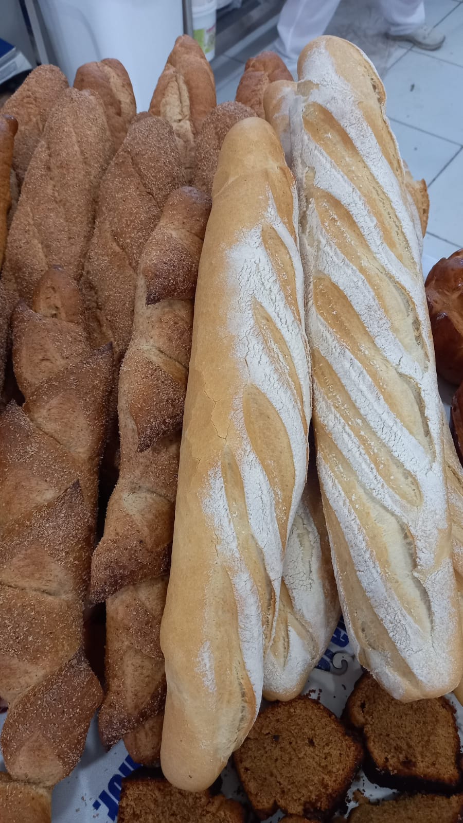 WhatsApp Image 2025-11-13 at 09.30.33 (4)