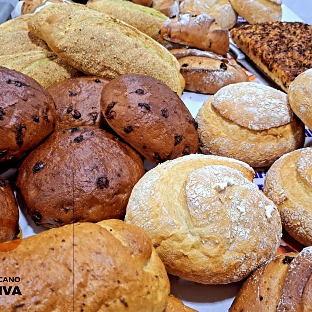 WhatsApp Image 2025-11-13 at 09.30.39